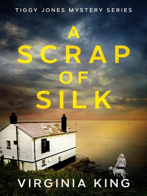 cover image of A Scrap of Silk